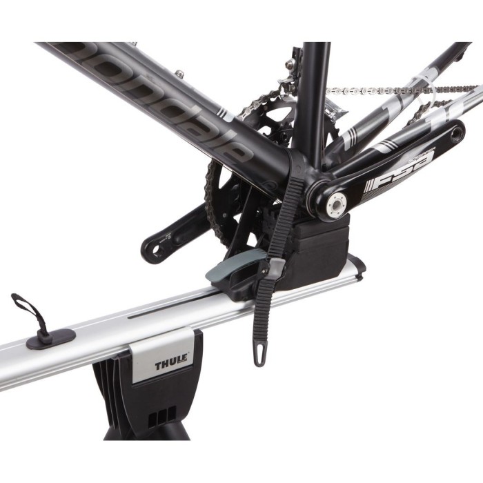 Comprar Thule estojo para bicicleta RoundTrip Transition 100502