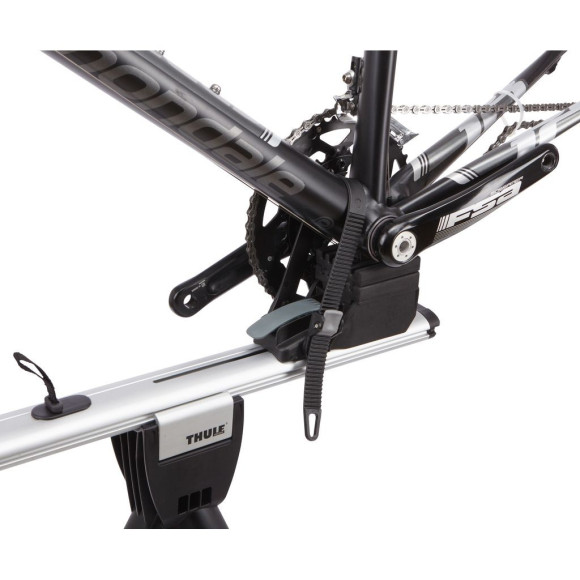 Comprar Thule estojo para bicicleta RoundTrip Transition 100502