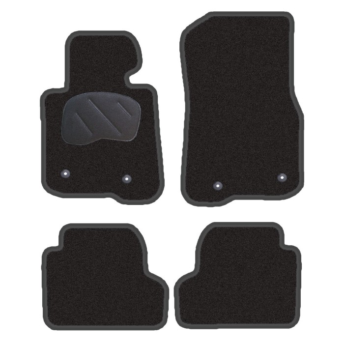 Tapetes de alcatifa para BMW X1 (E84)