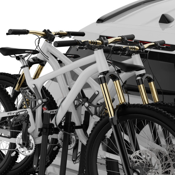 CRUZ Stema anti-theft system