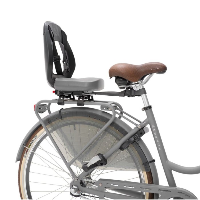 Thule Yepp Junior budget