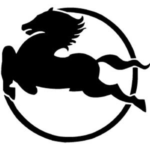 Logo Pegaso